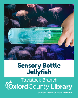 TAV - Sensory Bottle